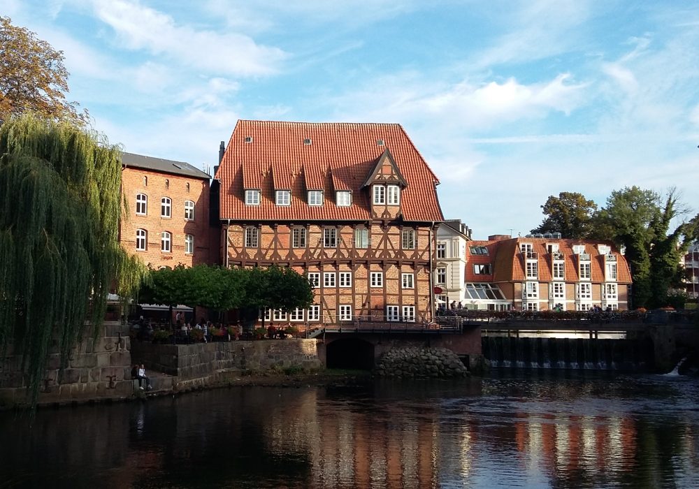 Lüneburg Stint